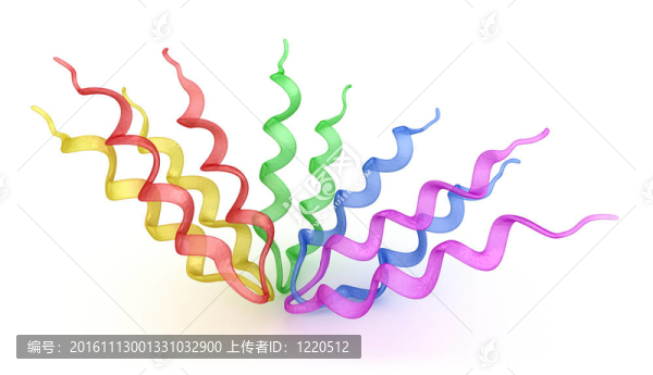 蛋白質(zhì)的三維模型