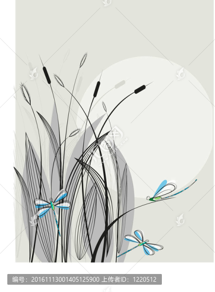 蜻蜓