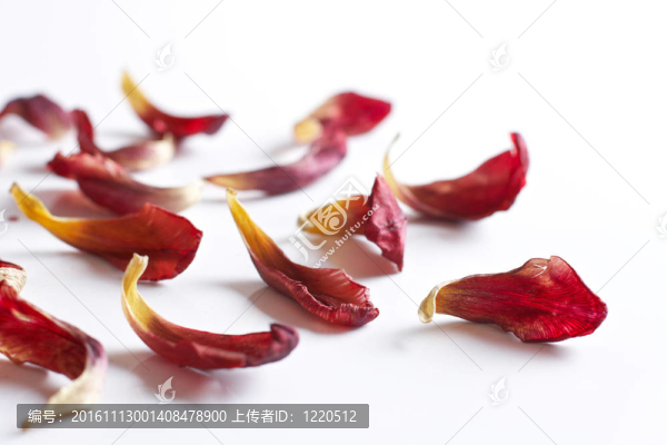 干花瓣