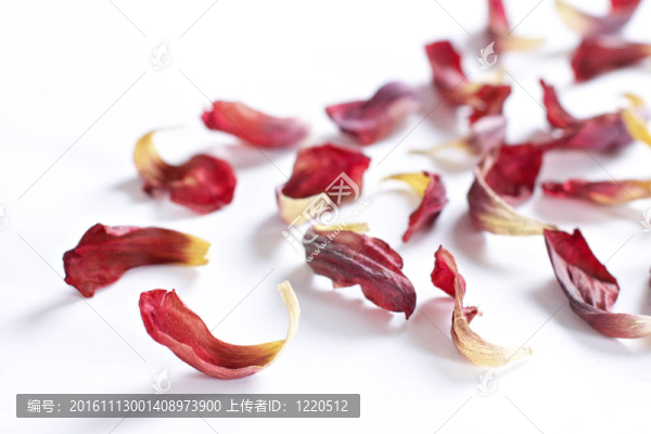 干花瓣