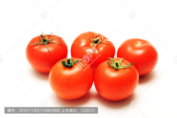 西紅柿-匯圖網(wǎng) www.fosd68.com 西紅柿