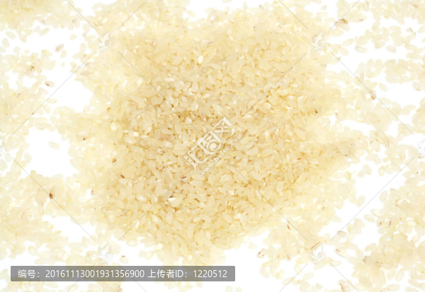 Brown,Rice白底背景