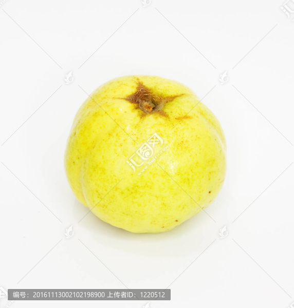 溫柏（蘋果）孤立在白色背景