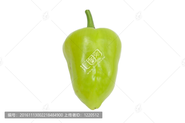 白色背景上的青椒