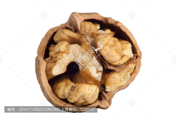 白色背景核桃的特寫