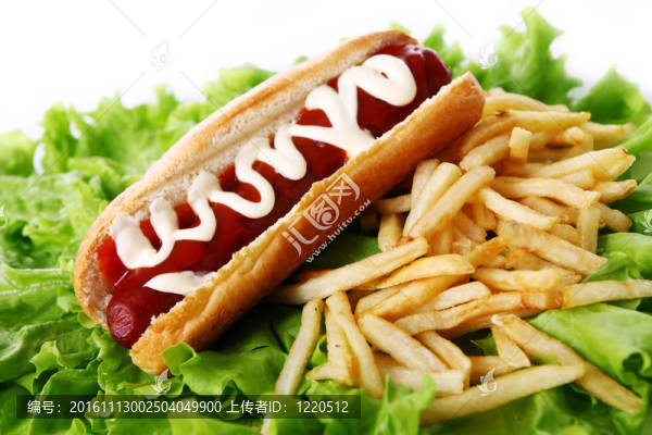 新鮮美味的熱狗和油炸土豆