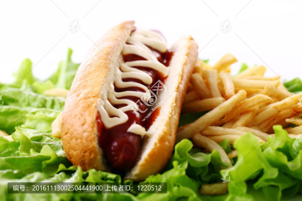 新鮮美味的熱狗和油炸土豆