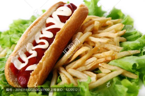 新鮮美味的熱狗和油炸土豆