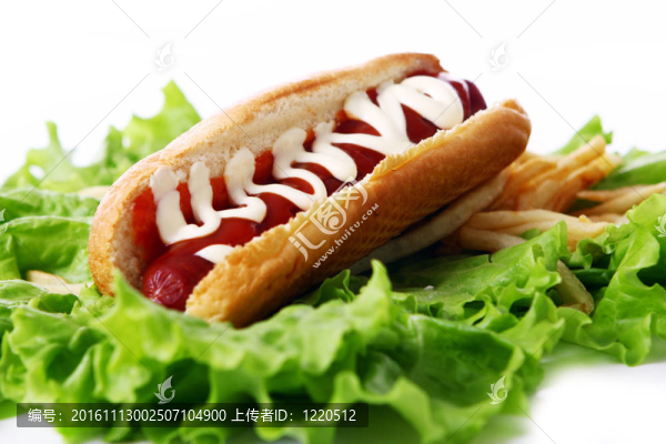 新鮮美味的熱狗和油炸土豆