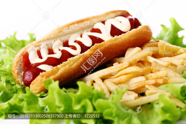 新鮮美味的熱狗和油炸土豆