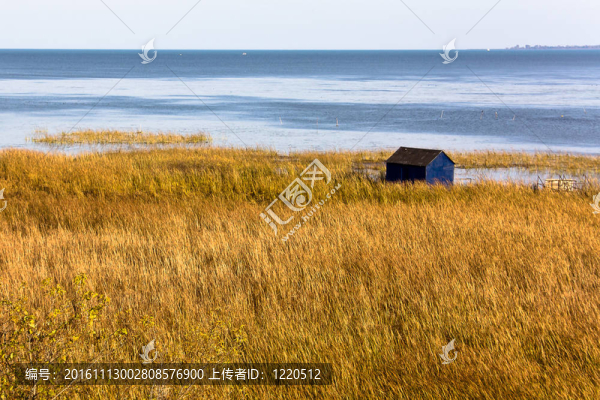 孤立的藍(lán)色窩棚在水的長點(diǎn)