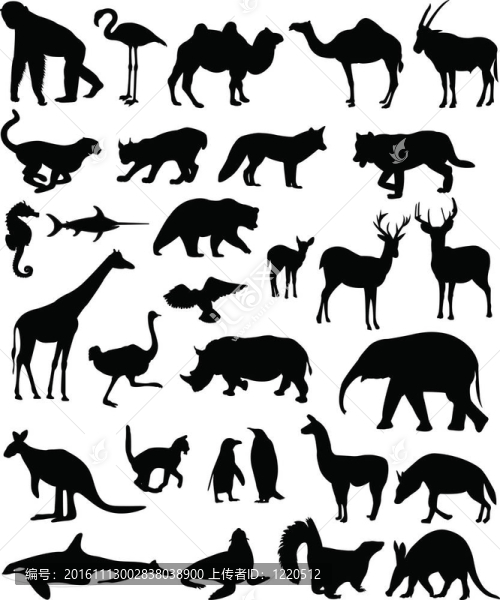 動物大集合