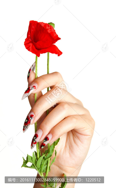 釘子和花-匯圖網(wǎng) www.fosd68.com 釘子和花