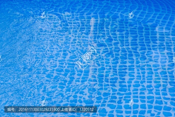 水池