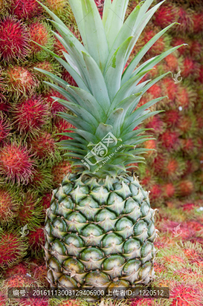 菠蘿和紅毛丹