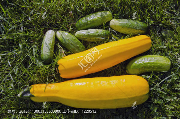 生態(tài)食品。