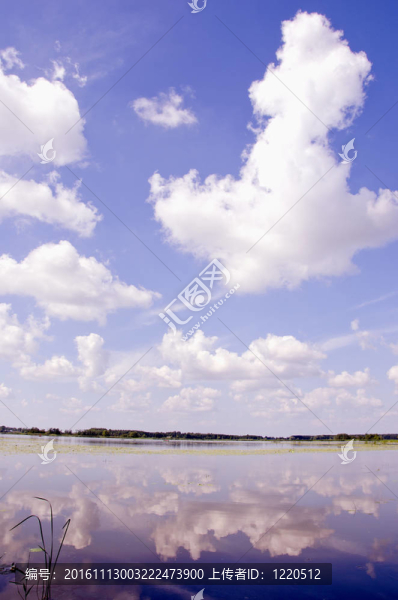 夏季湖景。