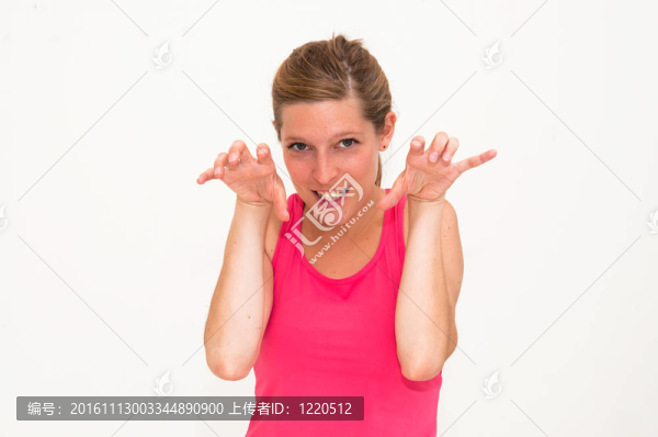 我是一只老虎