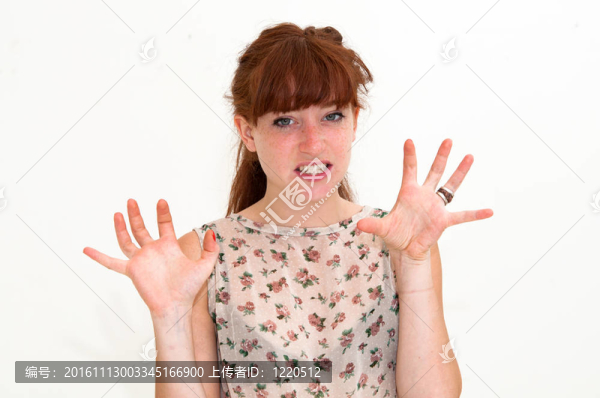 我是一個(gè)有趣的女孩的老虎畫(huà)像