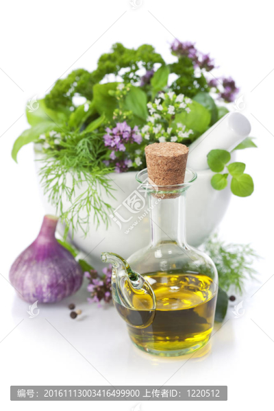 草本植物