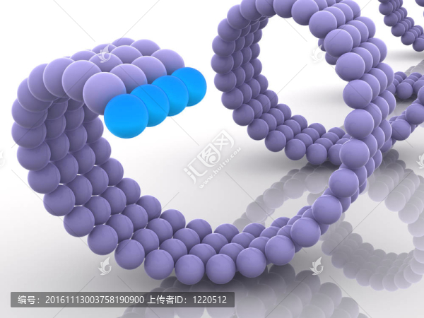 基因在DNA