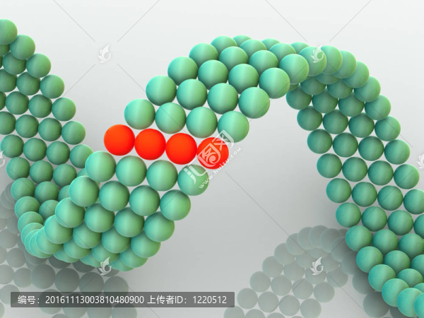 基因在DNA