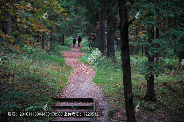 情侶走在秋天公園的小路上