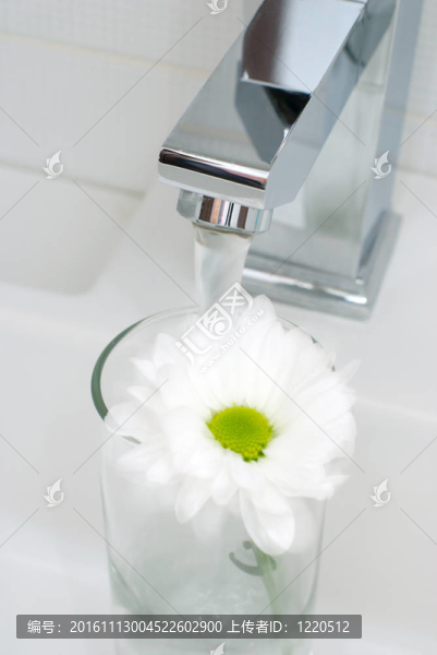 鉻自來水和飄揚(yáng)的花