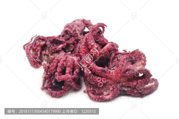 食用植物油中的章魚