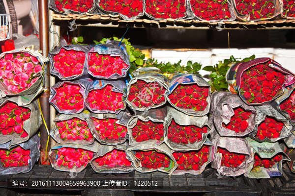 美麗的玫瑰在中央花卉市場