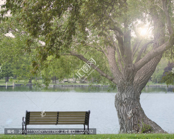 美麗的公園椅在水與Sun,Rising通過樹
