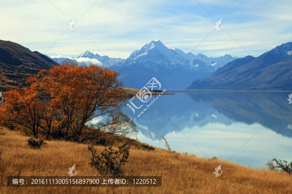 山Cook的反思從Lake,Pukaki景觀