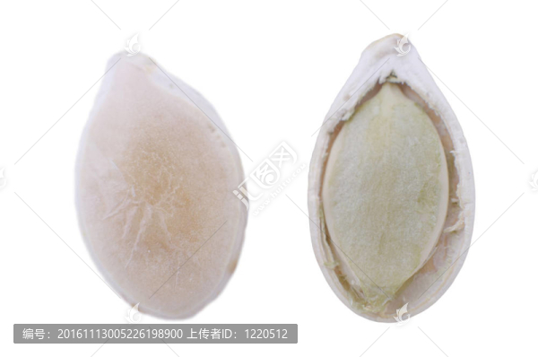 南瓜種子在白色背景（與路徑隔離）。