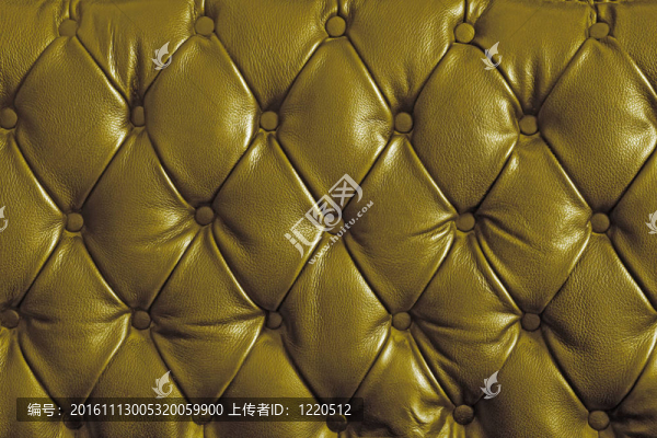 金真皮