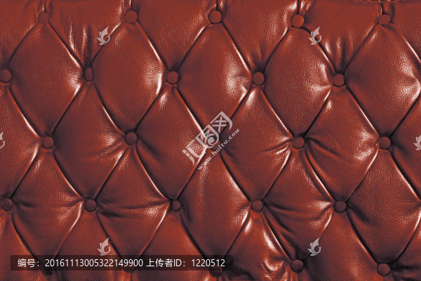 紅色真皮