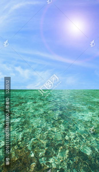珊瑚景觀