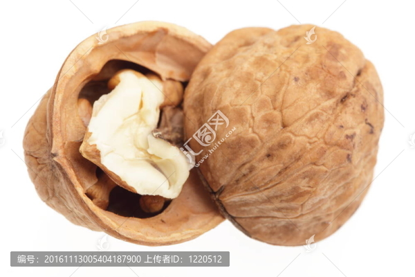 白色背景上分離的核桃仁