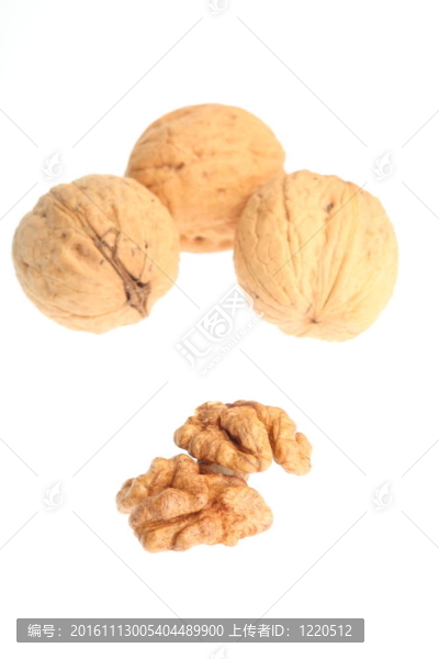 白色背景上分離的核桃仁