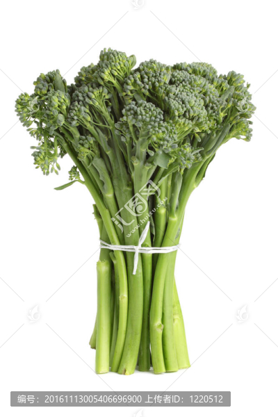 布羅科利尼