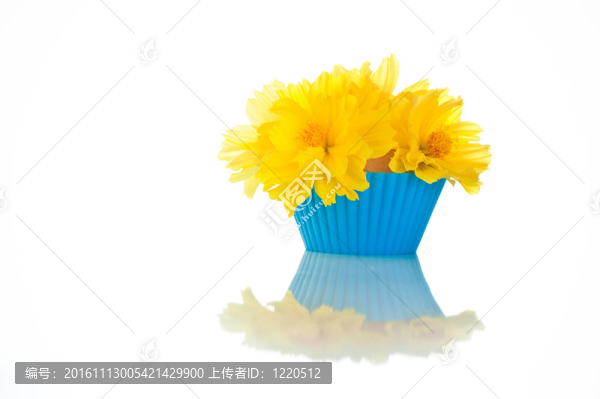 可食的小花束