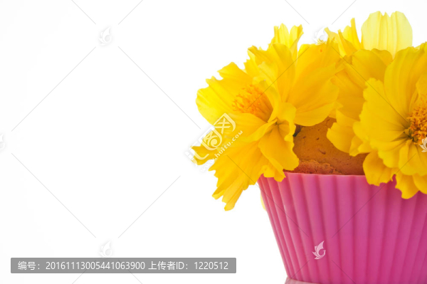 可食的小花束