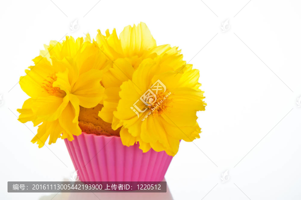 可食的小花束