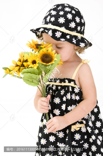 芳香的花朵
