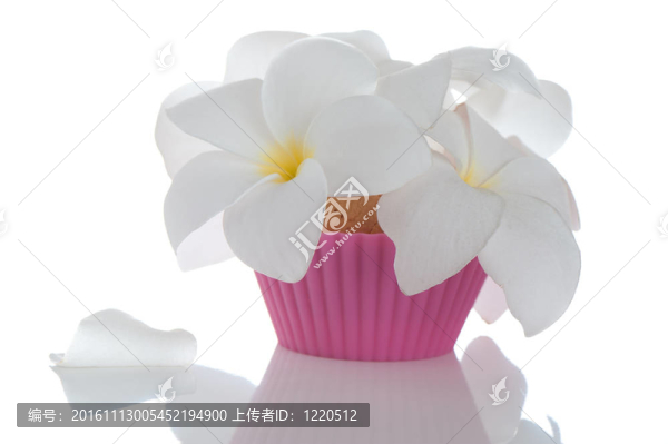 可食的小花束