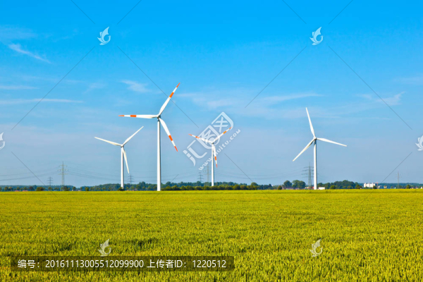 風(fēng)的能量發(fā)生在春天站在現(xiàn)場