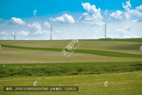 田野和草地的夏季景觀