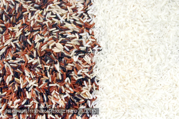 Rice的背景