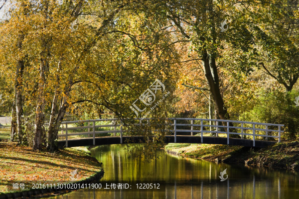 秋天公園里的池塘和白色的橋