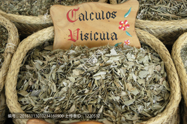 膽結(jié)石；中藥