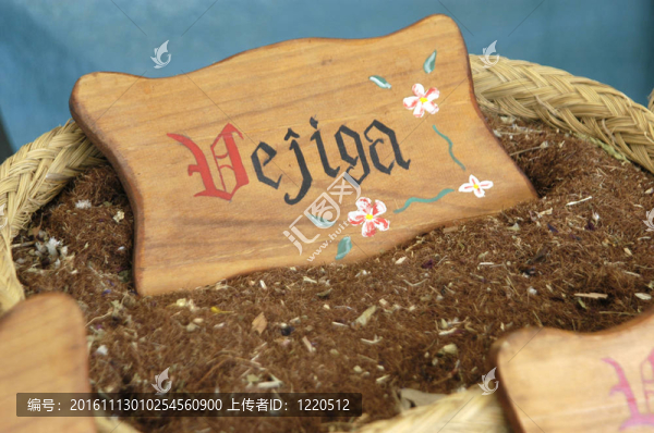 膀胱；草藥